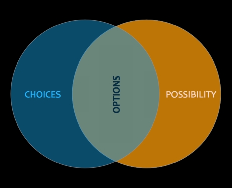 CHOICES + POSSIBILITY = OPTIONS